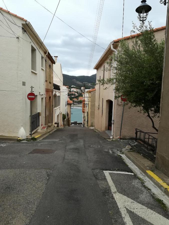 Cap D Osne - Banyuls Sur Mer - 2Mn Plage Εξωτερικό φωτογραφία
