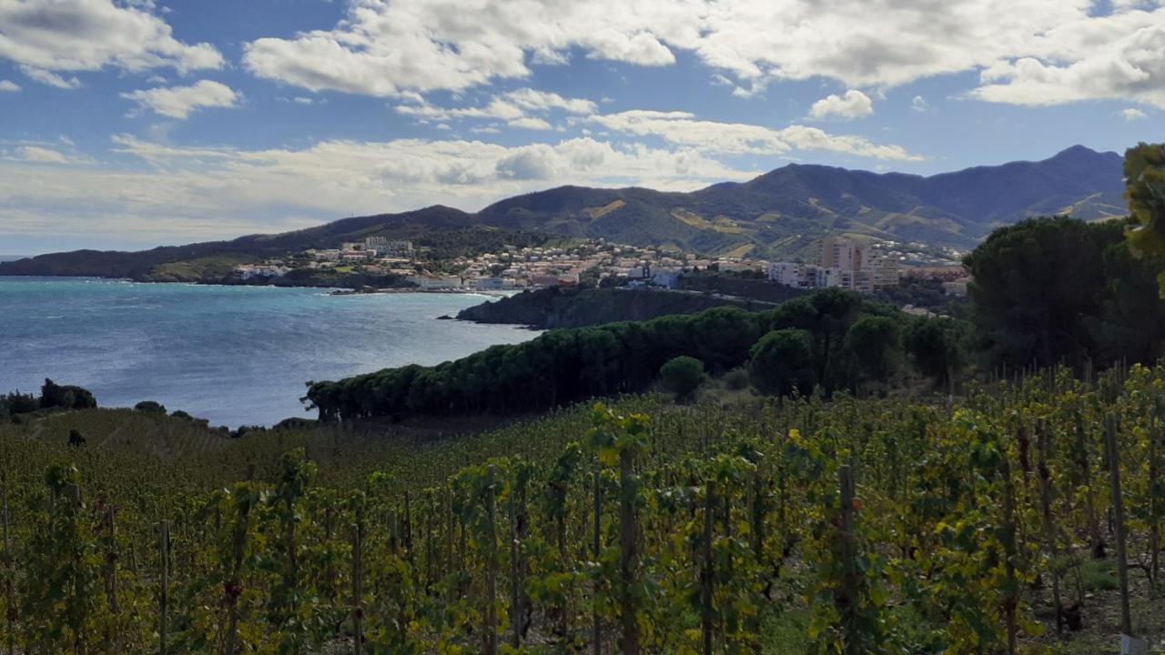 Cap D Osne - Banyuls Sur Mer - 2Mn Plage Εξωτερικό φωτογραφία